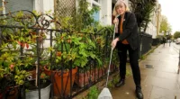 This includes Jane Pearce (pictured), who litter-picked her street in Camden, north London, but was handed a £400 penalty after she deposited the rubbish in a wheelie bin