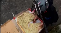 This is the moment a deliveryman was caught tucking into a customer
