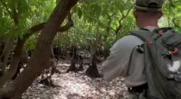 A group of fishermen have been left stunned after crossing paths with a massive crocodile while walking to a fishing spot a few hours east of Darwin