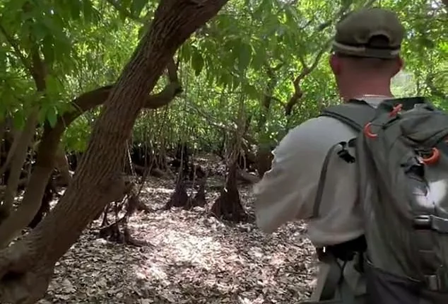 A group of fishermen have been left stunned after crossing paths with a massive crocodile while walking to a fishing spot a few hours east of Darwin