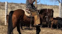 Terrel Vineyard, of Oshkosh, Nebraska, was fatally struck by lightning while riding his main steed, Dose, on June 21. Both the rider and horse died in the freak incident