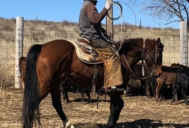 Terrel Vineyard, of Oshkosh, Nebraska, was fatally struck by lightning while riding his main steed, Dose, on June 21. Both the rider and horse died in the freak incident