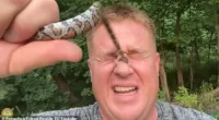 Reptile YouTuber, Jesse Rothacker, from Pennsylvania has filmed himself being bitten by a non-venomous snake fifty times including once in the face which left him dripping with blood