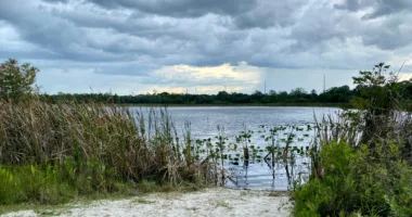 Supreme Court's wetlands decision could spell more construction, major impact on Florida