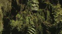 Swamp Thing from Wes Craven's 1982 film