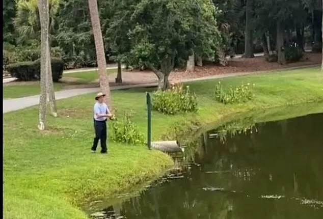 Surveilllance video shows the man standing on the grassy edge of the pond patiently waiting to catch a fish when suddently the gator emerges.