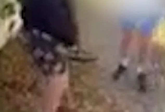 In the one-minute video, up to three boys slap, shove and throw punches at their victim before slamming him into a wall in Toowoomba, Queensland (pictured)