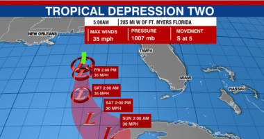 Tropical depression off Florida coast falls short of tropical storm strength: NHC