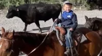 Houston Hampton was severely injured on Friday after a spooked horse kicked him in the head