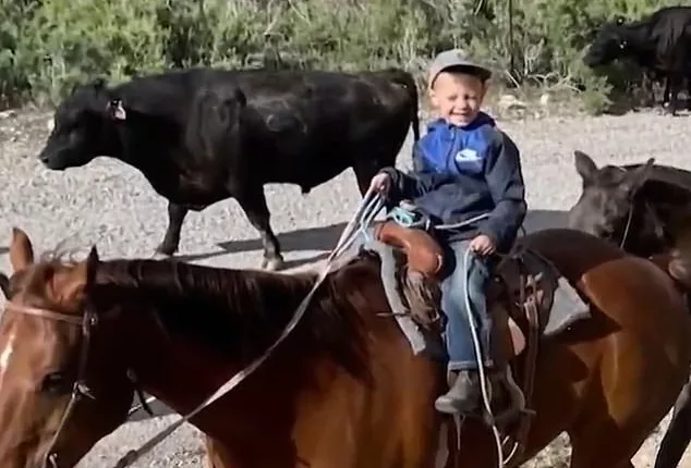 Houston Hampton was severely injured on Friday after a spooked horse kicked him in the head