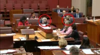 What happened in midnight Senate argument between Jacinta Nampijinpa Price and Murray Watt: Voice