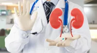 11 Most Common Foods That Damage Your Kidneys