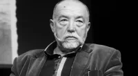 Andrzej Zieniewicz Wikipedia