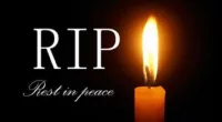 Terry Layfield Obituary