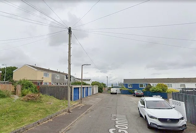 A child has died and three others left injured after a fire ripped through a home in Gonhill, West Cross around 1.20pm yesterday. A generic view of Gonhill is pictured