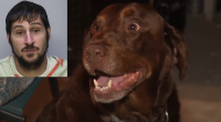 Couple’s dog found the accused killer and rapist who allegedly escaped prison using bed sheets tied to rope