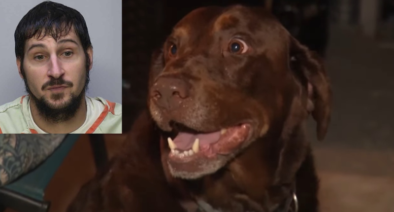 Couple’s dog found the accused killer and rapist who allegedly escaped prison using bed sheets tied to rope