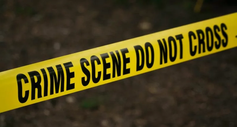 Ashley Day Stabbed
