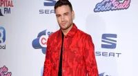 Liam Payne didn't feel like he could 'teach' his son anything before his rehab stint