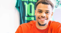 Lukas Nmecha Height, Weight, Net Worth, Age, Birthday, Wikipedia, Who, Instagram, Biography