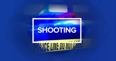 Man in custody after shooting in South Georgia