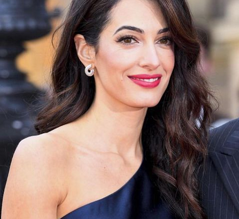 Who Is Amal Clooney? Meet George Clooney Wife