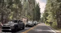 The line of cars seems nearly endless in the sped up footage which has been shared on social media