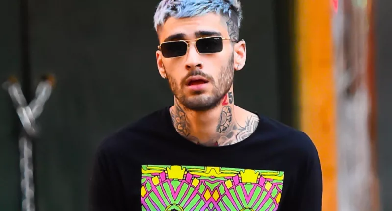 Zayn Malik was left heartbroken after losing his pet chicken