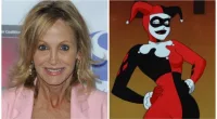 Arleen Sorkin Illness