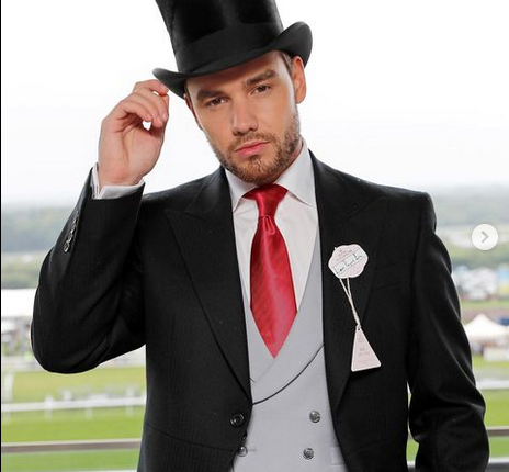 Who Is Liam Payne? Parents, Siblings, Partner, And Net Worth
