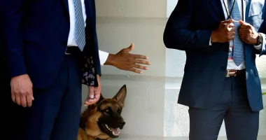 Biden's dog Commander bites ANOTHER Secret Service agent