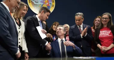California governor signs law raising taxes on guns and ammunition to pay for school safety