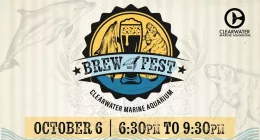 Clearwater Marine Aquarium to host Brew Fest featuring local breweries on Oct. 6