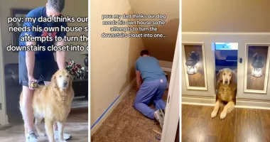 Dad's golden retriever closet transformation goes viral after Gen Z daughter captures it for TikTok