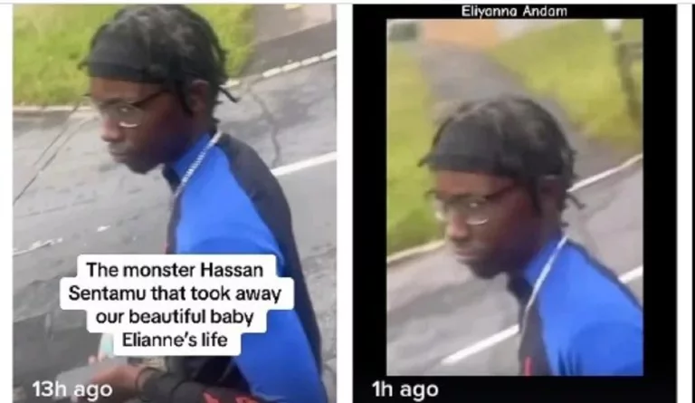 Hassan Sentamu Arrested For Stabbing Elianne: Murder Details