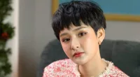 Hien Ho Scandal