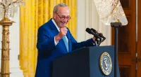 Is Amy Schumer Related To Chuck Schumer