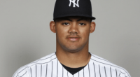 Jasson Dominguez Age: How Old Is He? Baseball Player Debut And Career