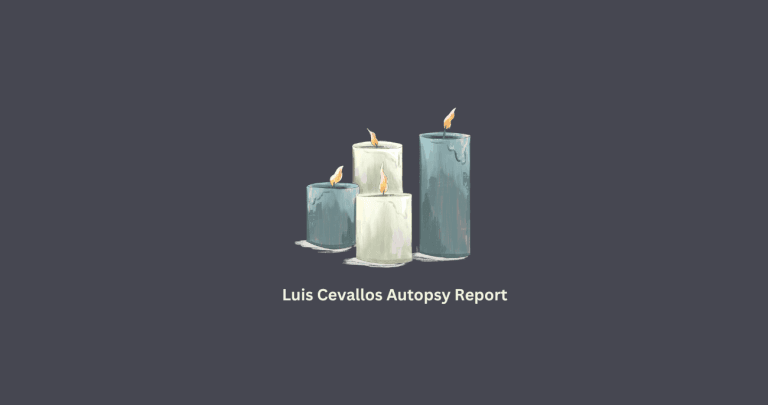 Luis Cevallos Autopsy Report: Accident Video And Photo