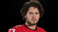 Mason McTavish Brother