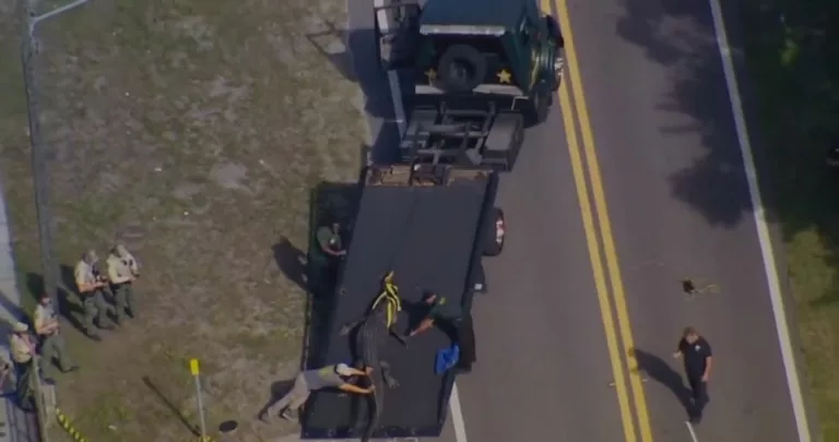 Pinellas Sabrina Peckham Alligator Attack: Death & Obituary