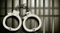 Ganley Hedegaard Arrest