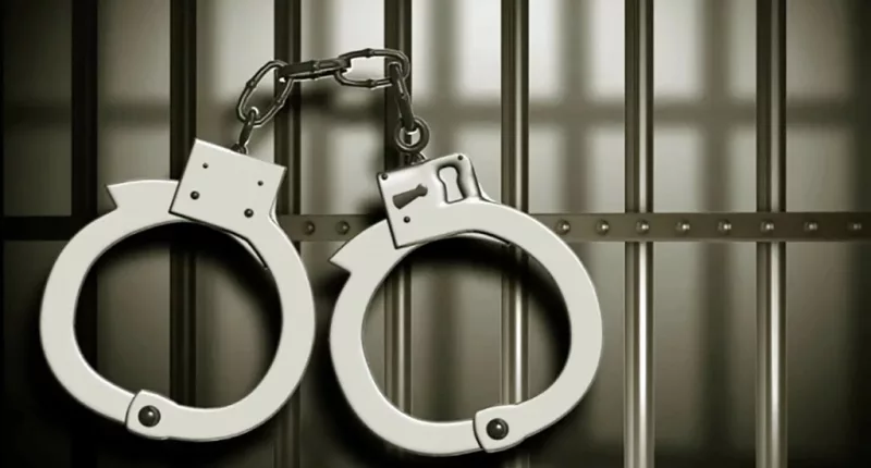 Ganley Hedegaard Arrest