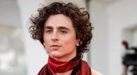 Timothee Chalamet Plastic Surgery