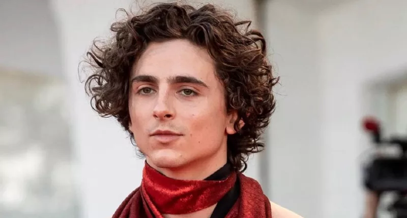Timothee Chalamet Plastic Surgery