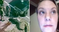 Who was Sabrina Peckham? Florida woman eaten by 13-feet alligator