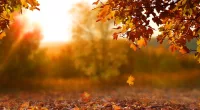 ¿Cuándo es el equinoccio de otoño?