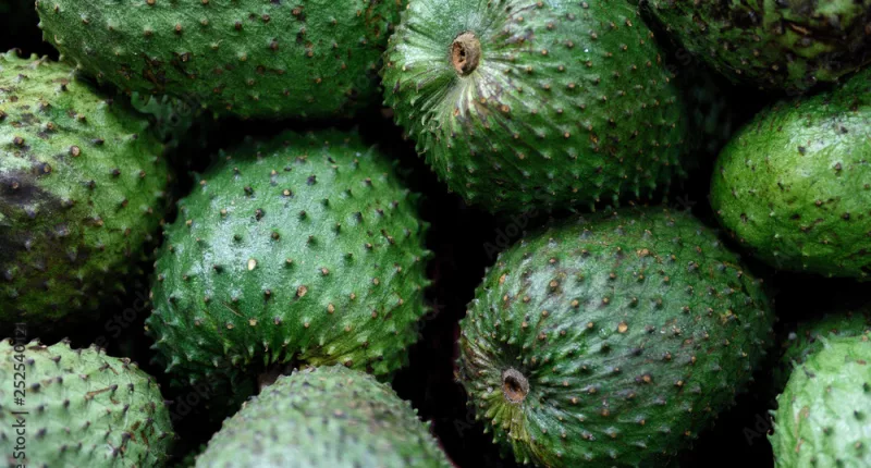 10 Amazing Health Benefits of Soursop Leaves