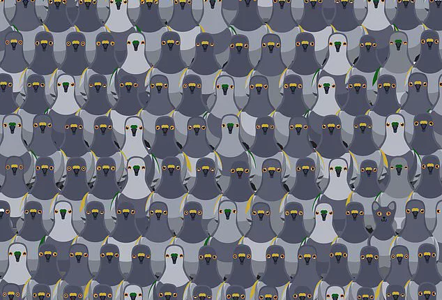 Amongst the pigeons, a cat is hiding