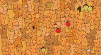 You could have a high IQ if you can spot the hidden mouse amongst the squirrels in eight seconds